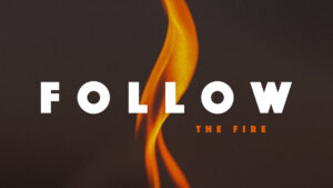 Follow the fire